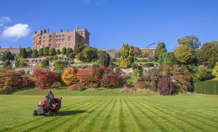 A green lawn below a row of orange, red and yellow autumnal trees, with the castle at the top of the hill